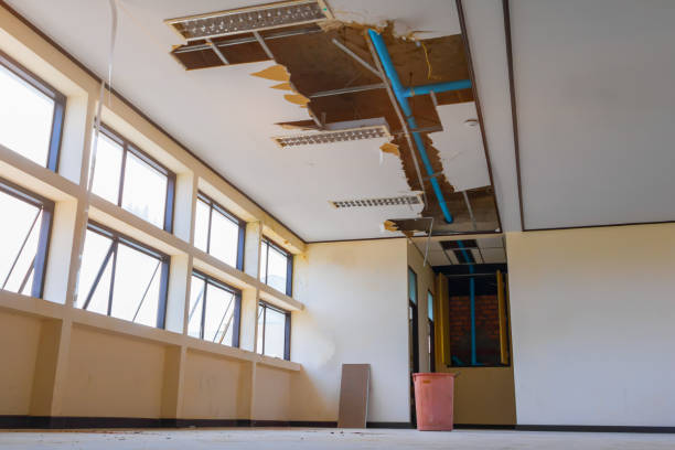 Best Professional water damage repair  in Wilburton, OK