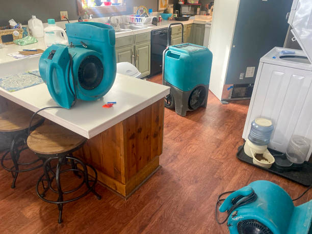 Best Water damage cleanup near me  in Wilburton, OK