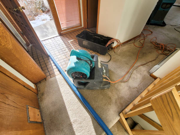 Best Flood restoration services  in Wilburton, OK