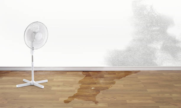 Best Basement water damage restoration  in Wilburton, OK