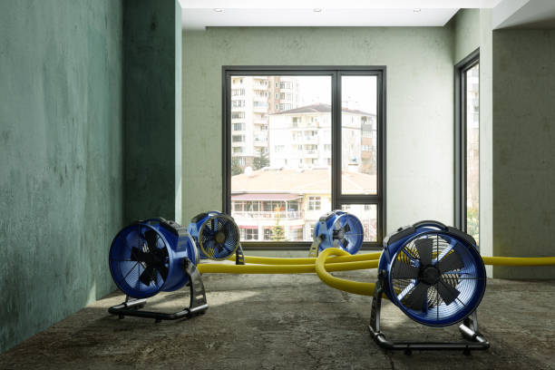 Best Sewage cleanup and water damage restoration  in Wilburton, OK